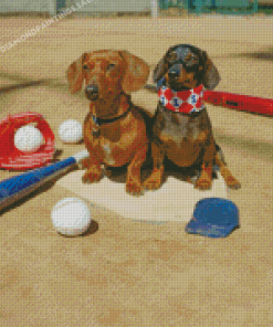 Aesthetic Baseball Team Dogs Diamond Painting