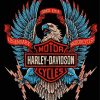 Aesthetic Harley Davidson Logo Art Diamond Painting