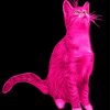 Aesthetic Pink Cat Diamond Painting