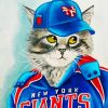 Aesthetic Baseball Cat Diamond Painting