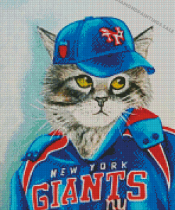 Aesthetic Baseball Cat Diamond Painting