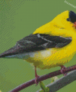 American Goldfinch Bird Diamond Painting