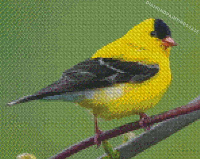 American Goldfinch Bird Diamond Painting
