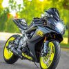 Black And Green Suzuki Gsxr Diamond Painting