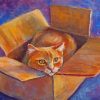 Cat In A Box Diamond Painting