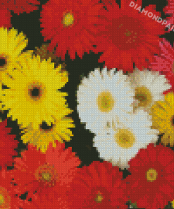 Colorful Mixed Daisies Flowers Diamond Painting