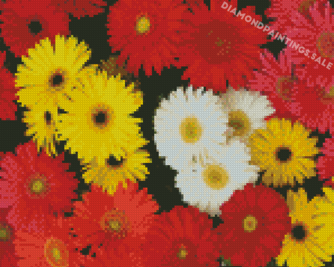 Colorful Mixed Daisies Flowers Diamond Painting