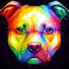 Colorful Pit Bull Art Diamond Painting