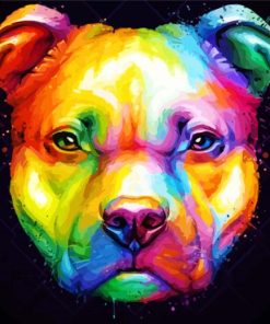 Colorful Pit Bull Art Diamond Painting