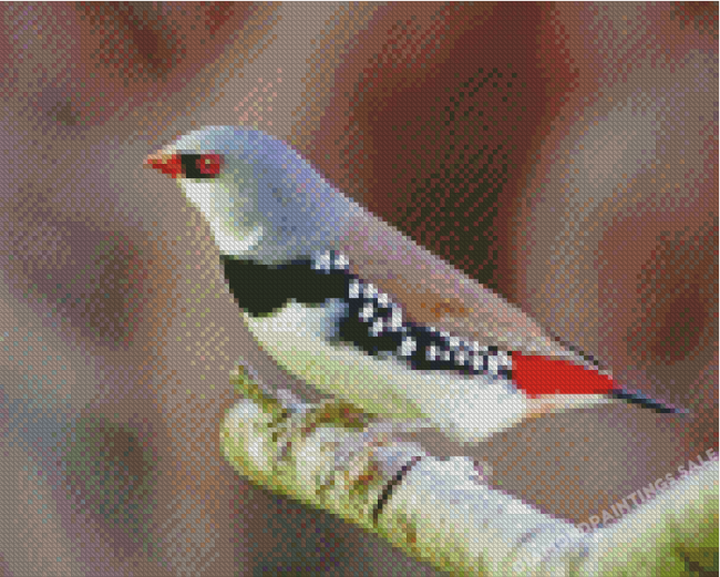 Diamond Firetail Finch Bird On A Branch Diamond Painting