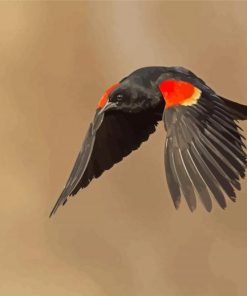 Flying Red Winged Blackbird Diamond Painting