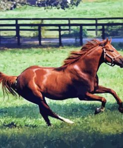 Secretariat Horse Running Diamond Painting