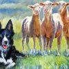 Sheep And Dog Diamond Painting