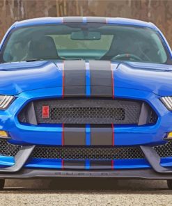 Shelby GT350 Front Diamond Painting