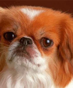 Small Tibetan Spaniel Diamond Painting