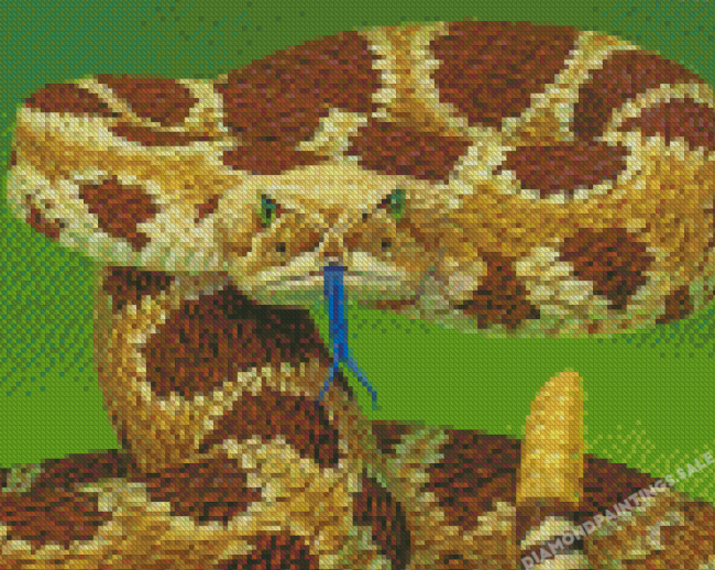 The Rattlesnake Diamond Painting