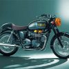 Triumph Bonneville Motocross Diamond Painting