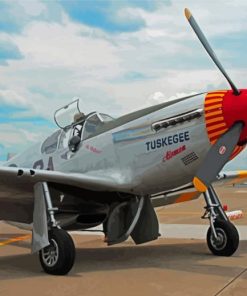 Tuskegee Airmen Plane Diamond Painting