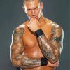 WWE Randy Orton Diamond Painting