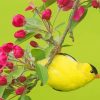 Yellow Bird And Flowers Diamond Painting