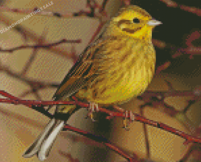 Yellowhammer Bird Diamond Painting