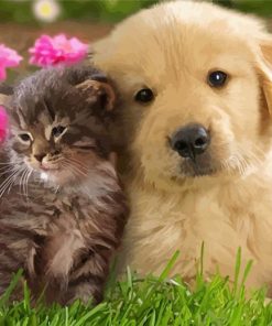 Adorable Tabby Kitten And Golden Spaniel Puppy Diamond Painting