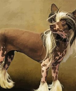 Aesthetic Chinese Crested Dog Diamond Painting