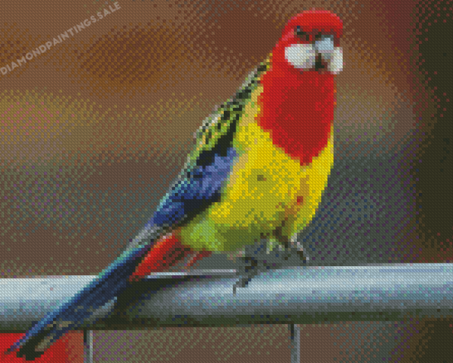 Aesthetic Australian King Parrot Diamond Painting