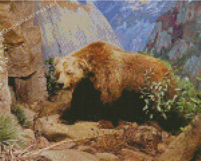 Aesthetic California Bear Diamond Painting