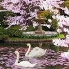 Aesthetic Cherry Tree And Swans Diamond Painting