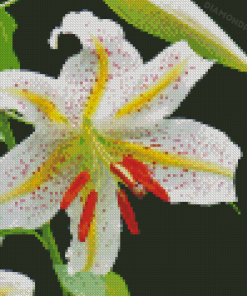 Aesthetic Golden Rayed Lily Diamond Painting