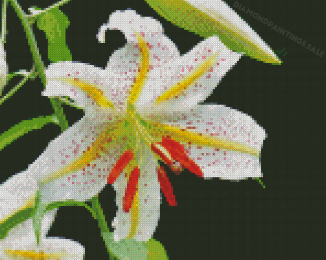 Aesthetic Golden Rayed Lily Diamond Painting