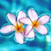 Aesthetic Plumeria Flower In Water Diamond Painting