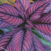 Aesthetic Purple Leaves Diamond Painting