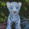 Aesthetic White Baby Tiger Diamond Painting