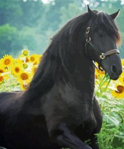 Black Horse With Sunflowers Diamond Painting