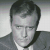 Black And White Vic Morrow Diamond Painting