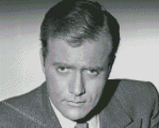 Black And White Vic Morrow Diamond Painting