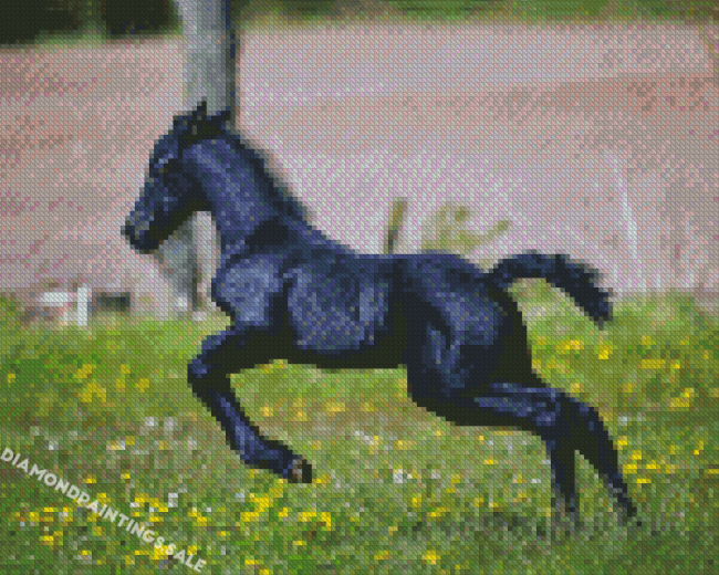 Black Horse Child Diamond Painting