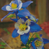 Blue Colorado Columbine Flowers Diamond Painting