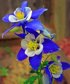 Blue Colorado Columbine Flowers Diamond Painting