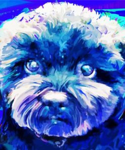 Blue Maltipoo Diamond Painting