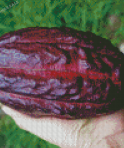 Chocolate Plant Fruit Diamond Painting