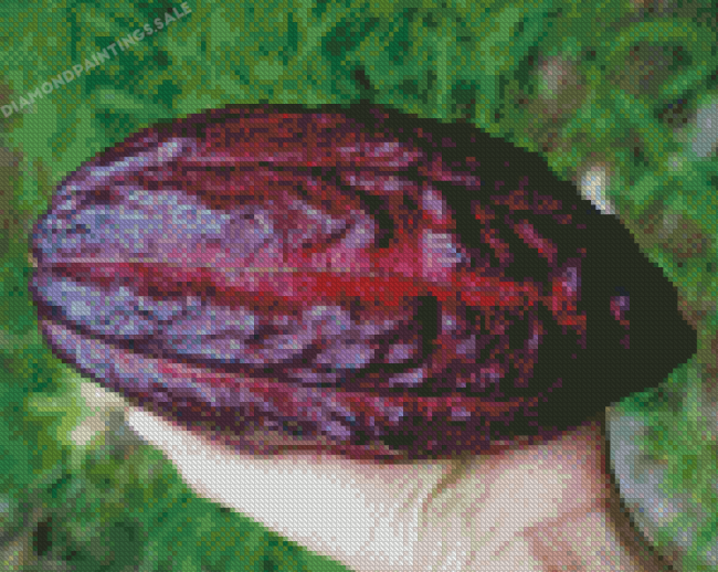 Chocolate Plant Fruit Diamond Painting