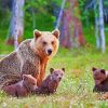 Adorable Mama Bear And 3 Cubs Diamond Painting