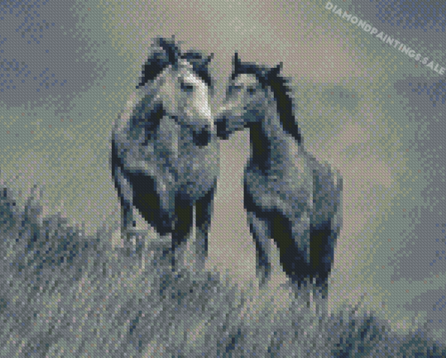 Monochrome Horse Couple Art Diamond Painting