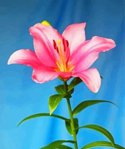 Pink Lily Diamond Painting