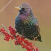 Starling On A Red Berry Branch Diamond Painting