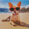 Aesthetic Beach Dog Diamond Painting