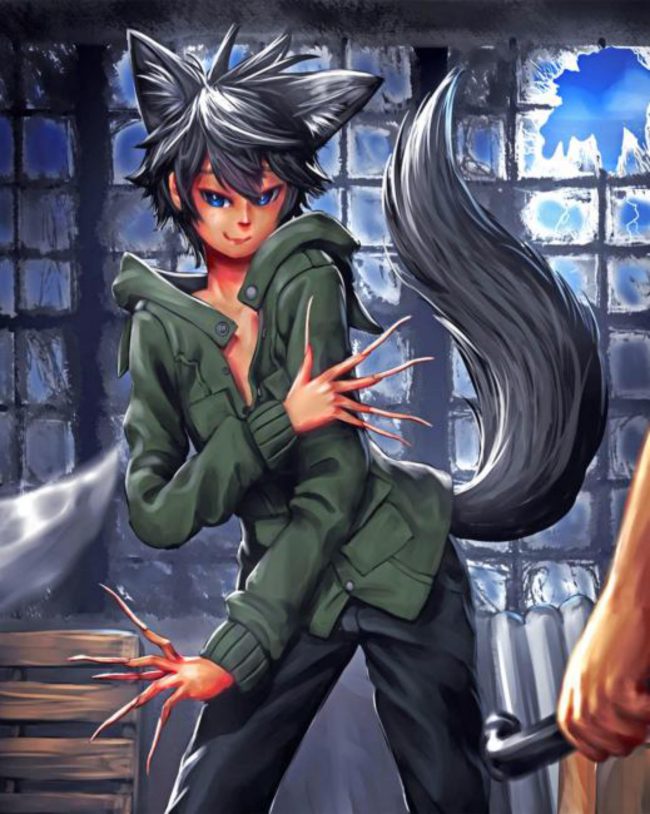 Anime Wolf Boy Diamond Painting